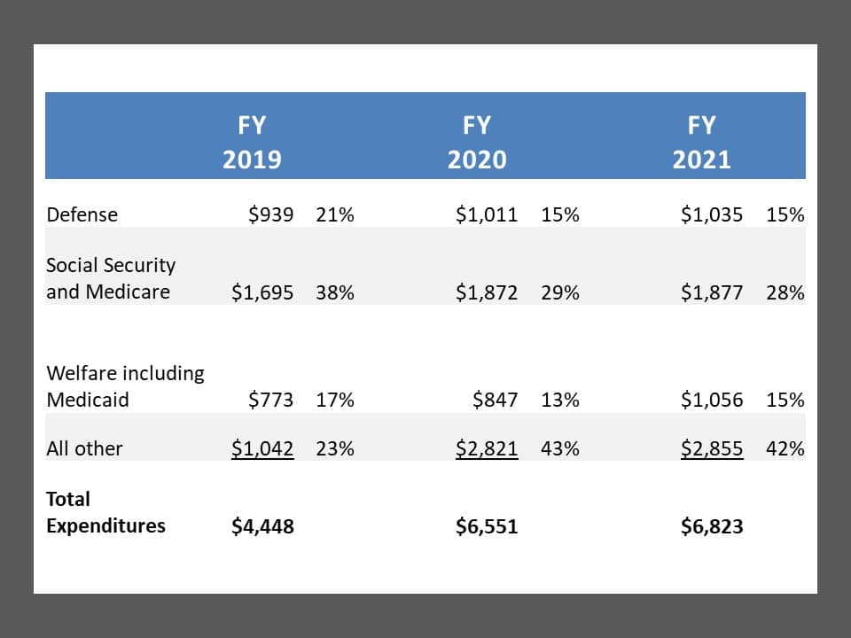 Welfare Budget