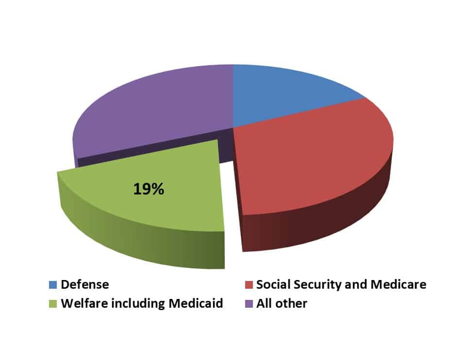 Welfare Budget